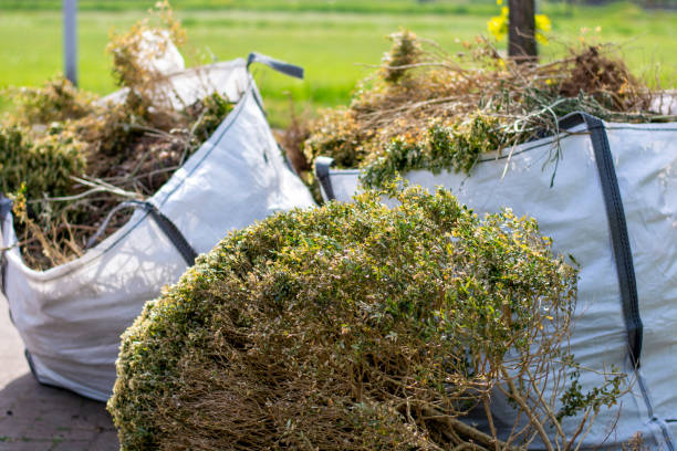 Best Furniture Removal Near Me  in Duluth, MN